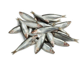 Fresh-Sprats-278x208