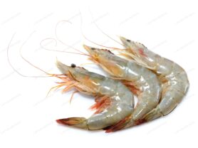 prawns1-278x208